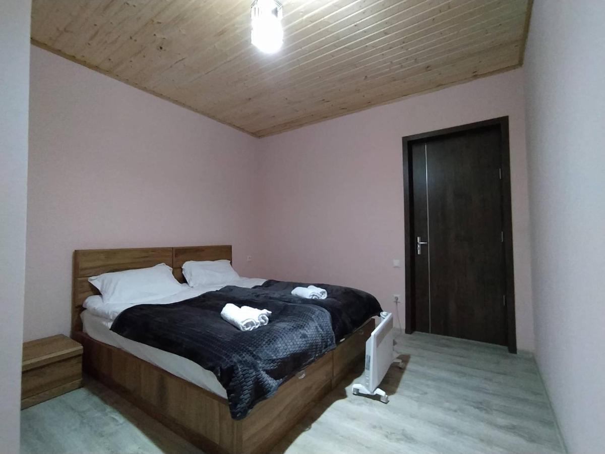 Tetne Qor Guesthouse 梅斯蒂亚 外观 照片