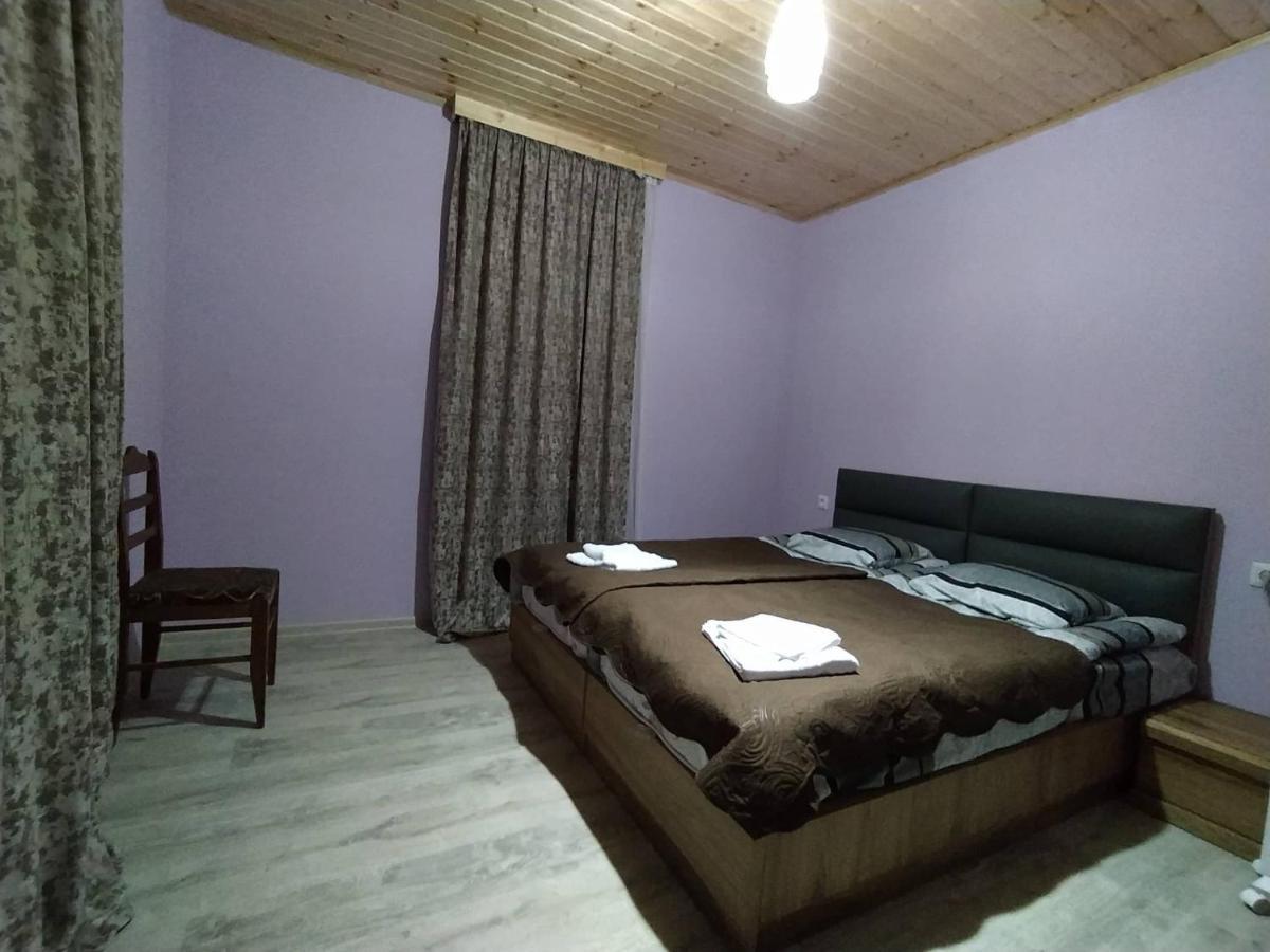 Tetne Qor Guesthouse 梅斯蒂亚 外观 照片